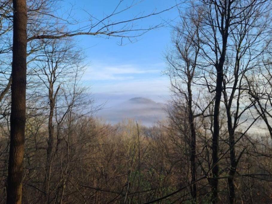 Rockbridge Hocking Hills Cabin-Private Hot Tub, Hiking, Cavesヴィラ エクステリア 写真