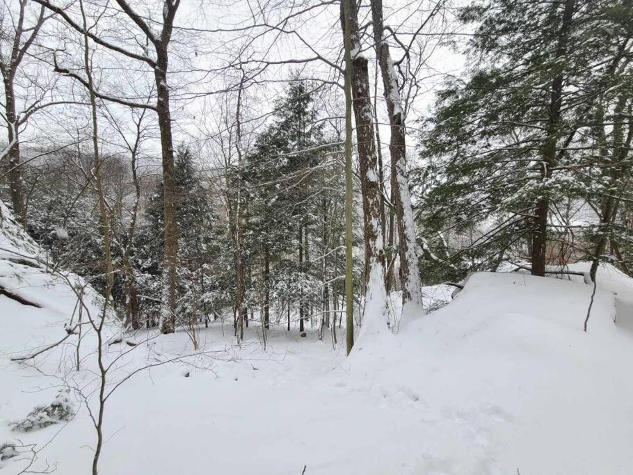 Rockbridge Hocking Hills Cabin-Private Hot Tub, Hiking, Cavesヴィラ エクステリア 写真