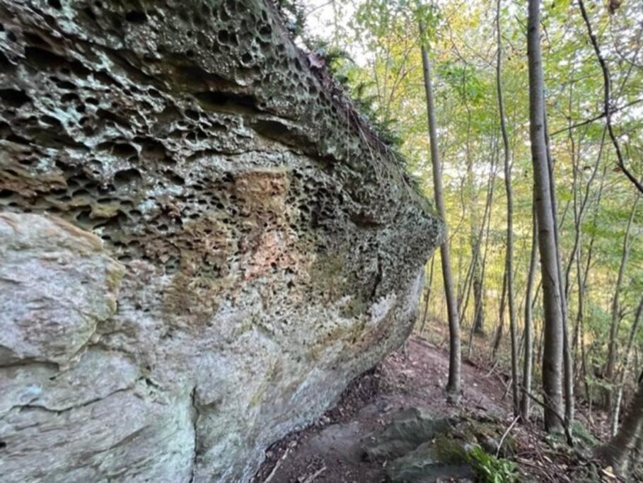 Rockbridge Hocking Hills Cabin-Private Hot Tub, Hiking, Cavesヴィラ エクステリア 写真