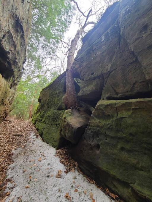 Rockbridge Hocking Hills Cabin-Private Hot Tub, Hiking, Cavesヴィラ エクステリア 写真