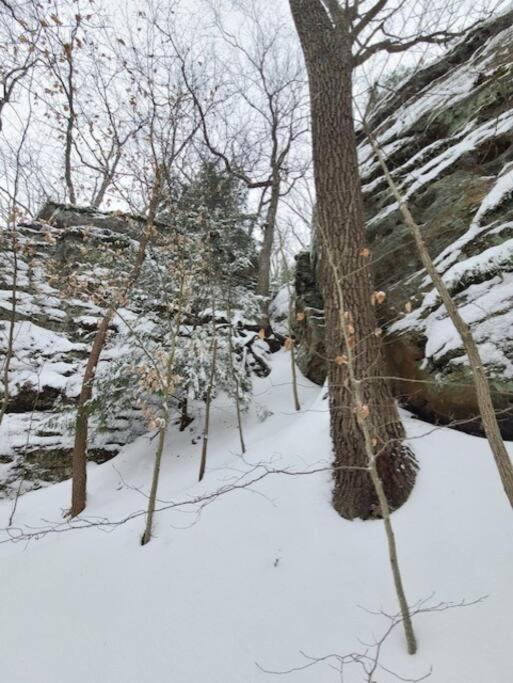 Rockbridge Hocking Hills Cabin-Private Hot Tub, Hiking, Cavesヴィラ エクステリア 写真