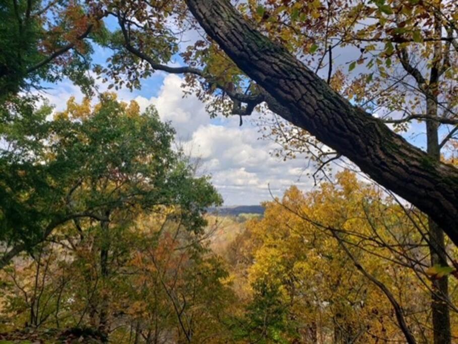 Rockbridge Hocking Hills Cabin-Private Hot Tub, Hiking, Cavesヴィラ エクステリア 写真