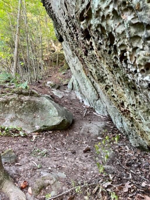 Rockbridge Hocking Hills Cabin-Private Hot Tub, Hiking, Cavesヴィラ エクステリア 写真