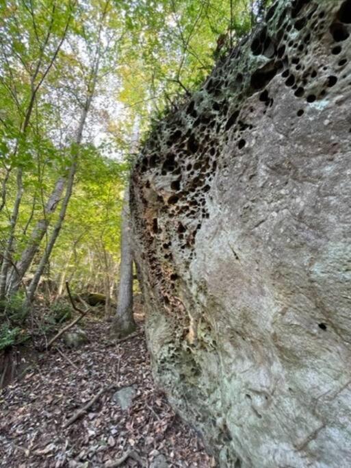 Rockbridge Hocking Hills Cabin-Private Hot Tub, Hiking, Cavesヴィラ エクステリア 写真