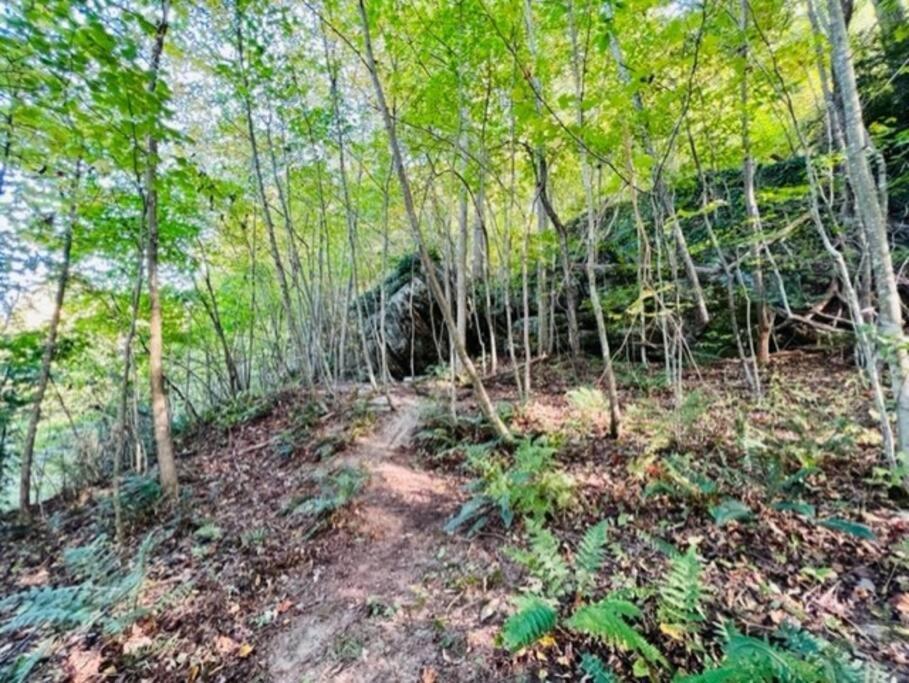 Rockbridge Hocking Hills Cabin-Private Hot Tub, Hiking, Cavesヴィラ エクステリア 写真