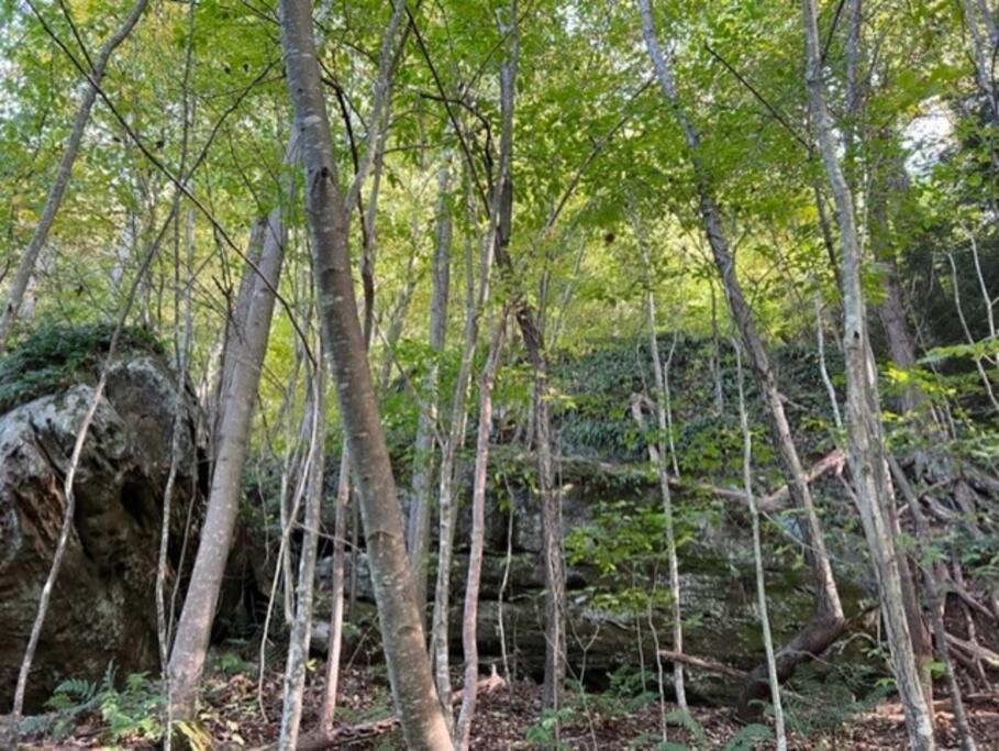 Rockbridge Hocking Hills Cabin-Private Hot Tub, Hiking, Cavesヴィラ エクステリア 写真